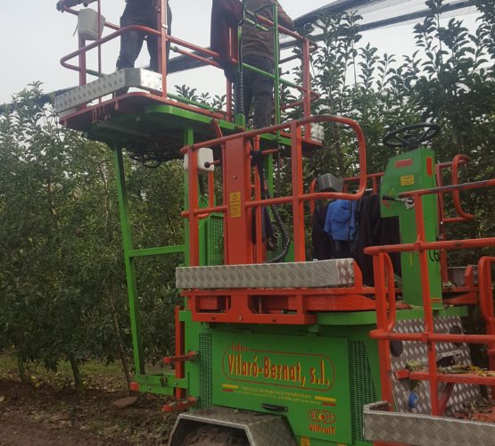 vilaro-bernat-cataleg-altres-plataforma-malla