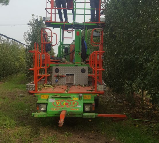 vilaro-bernat-cataleg-altres-plataforma-malla