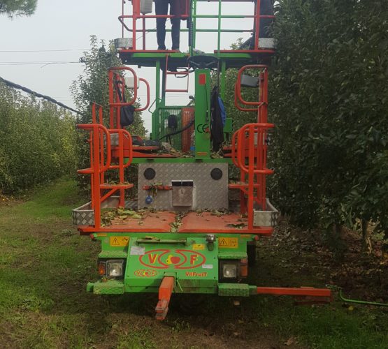 vilaro-bernat-cataleg-altres-plataforma-malla