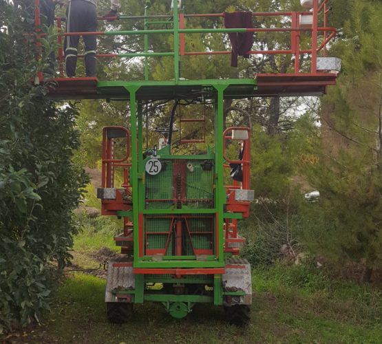 vilaro-bernat-cataleg-altres-plataforma-malla